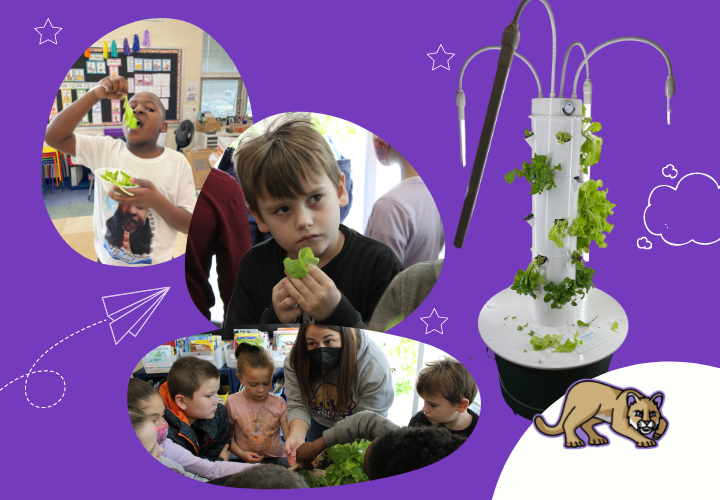 Aeroponic tower and students